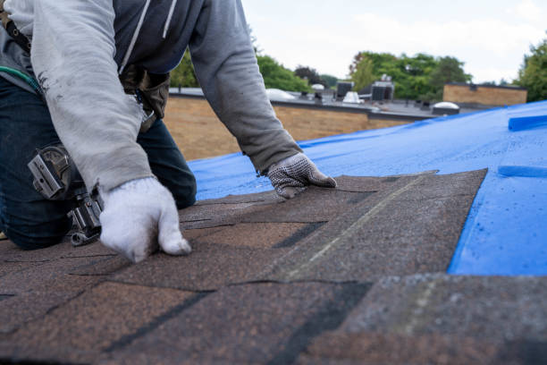Sheet Metal Roofing in Pittsfield, IL